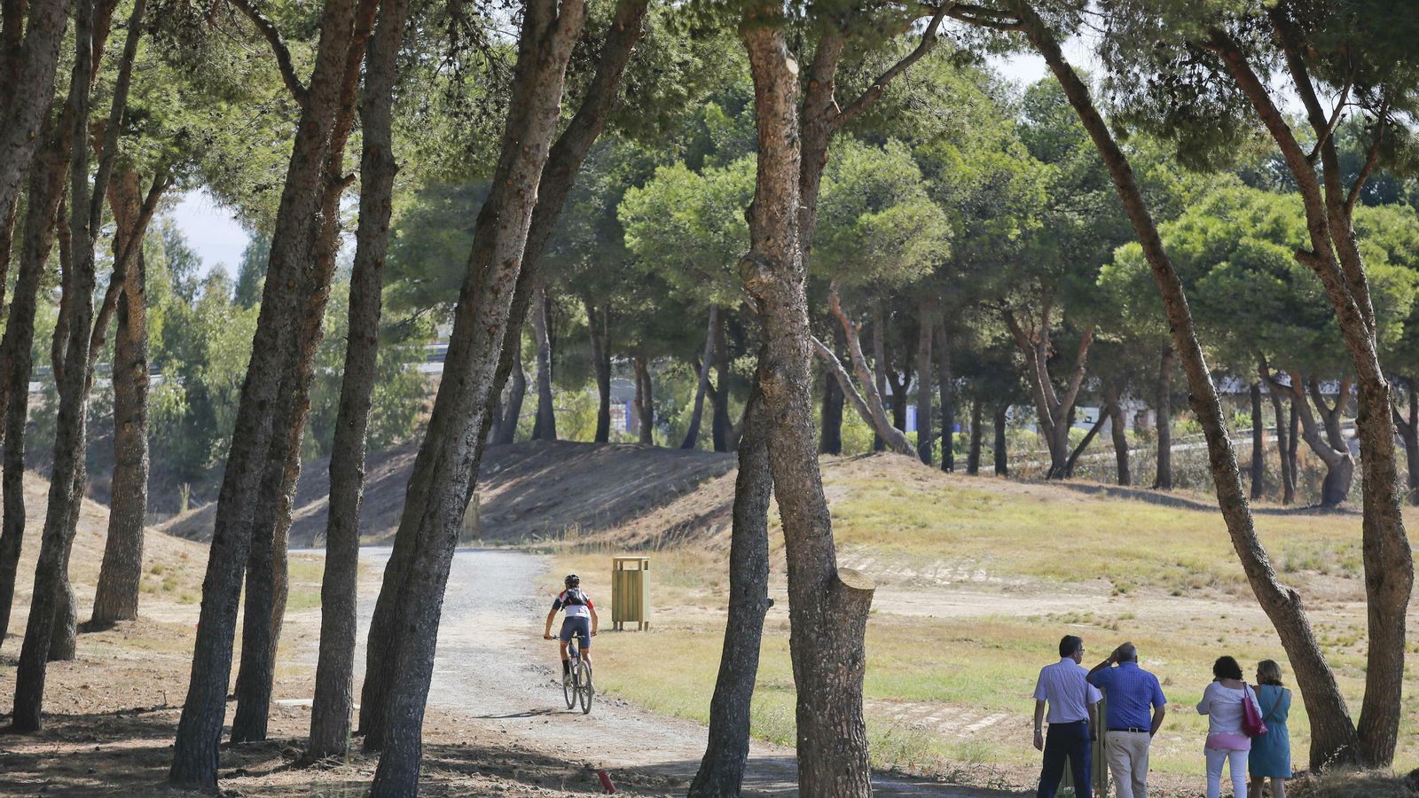 Interior del parque del Benítez.