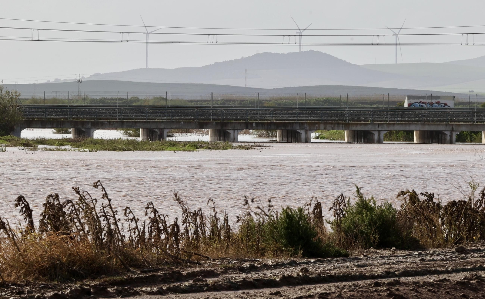 El campo en Lebrija inundado tras las lluvias