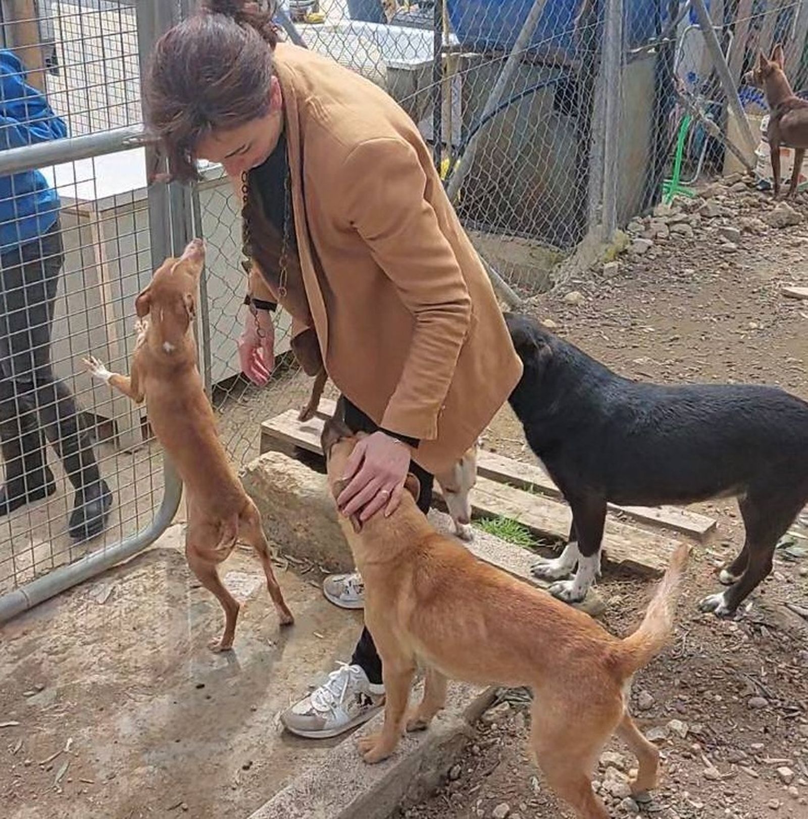 La alcaldesa de Priego de Córdoba un su visita al refugio municipal.