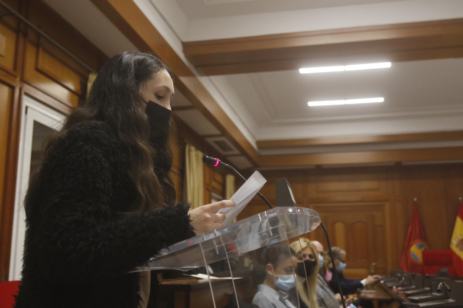 Pleno extraordinario por el Día Internacional de la Eliminación de la Violencia contra la Mujer.