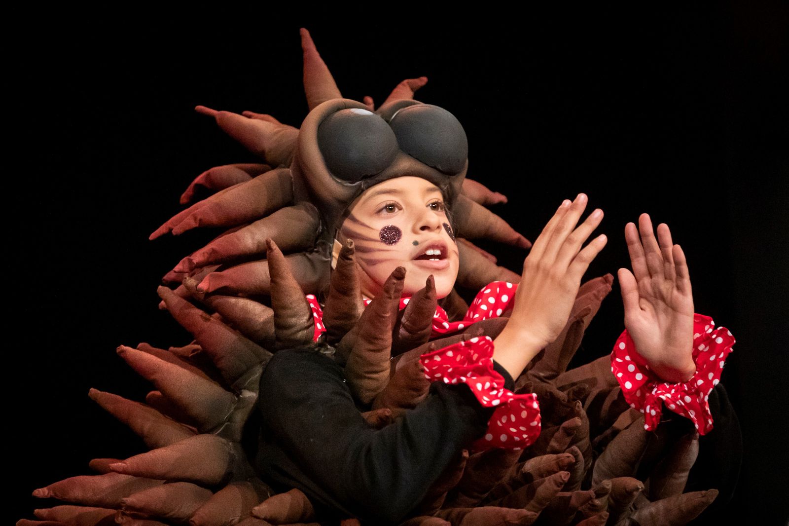 Todas las imágenes de la final infantil