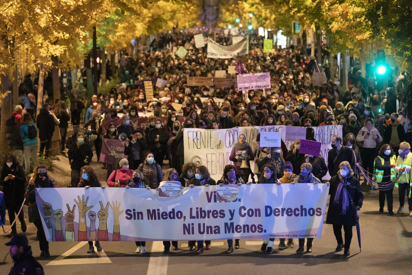 La manifestación del 25-N en Granada en imágenes