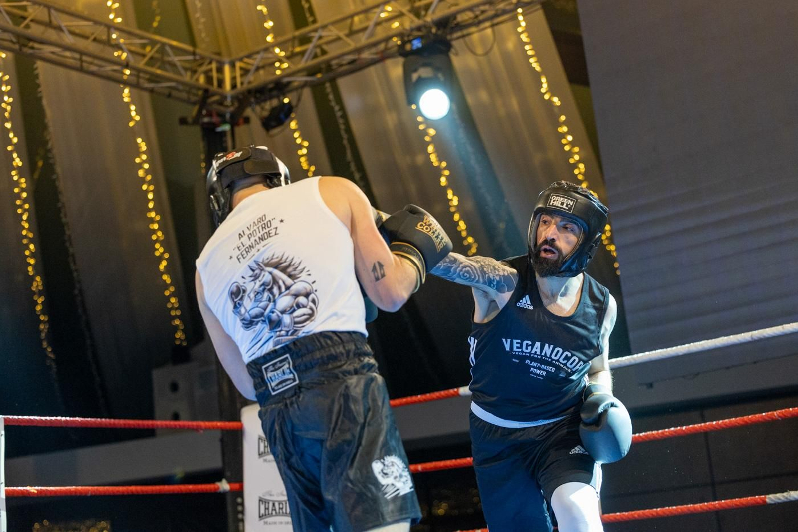 El boxeo solidario de la VI velada White Collar Boxing cautiva al público de Jaén
