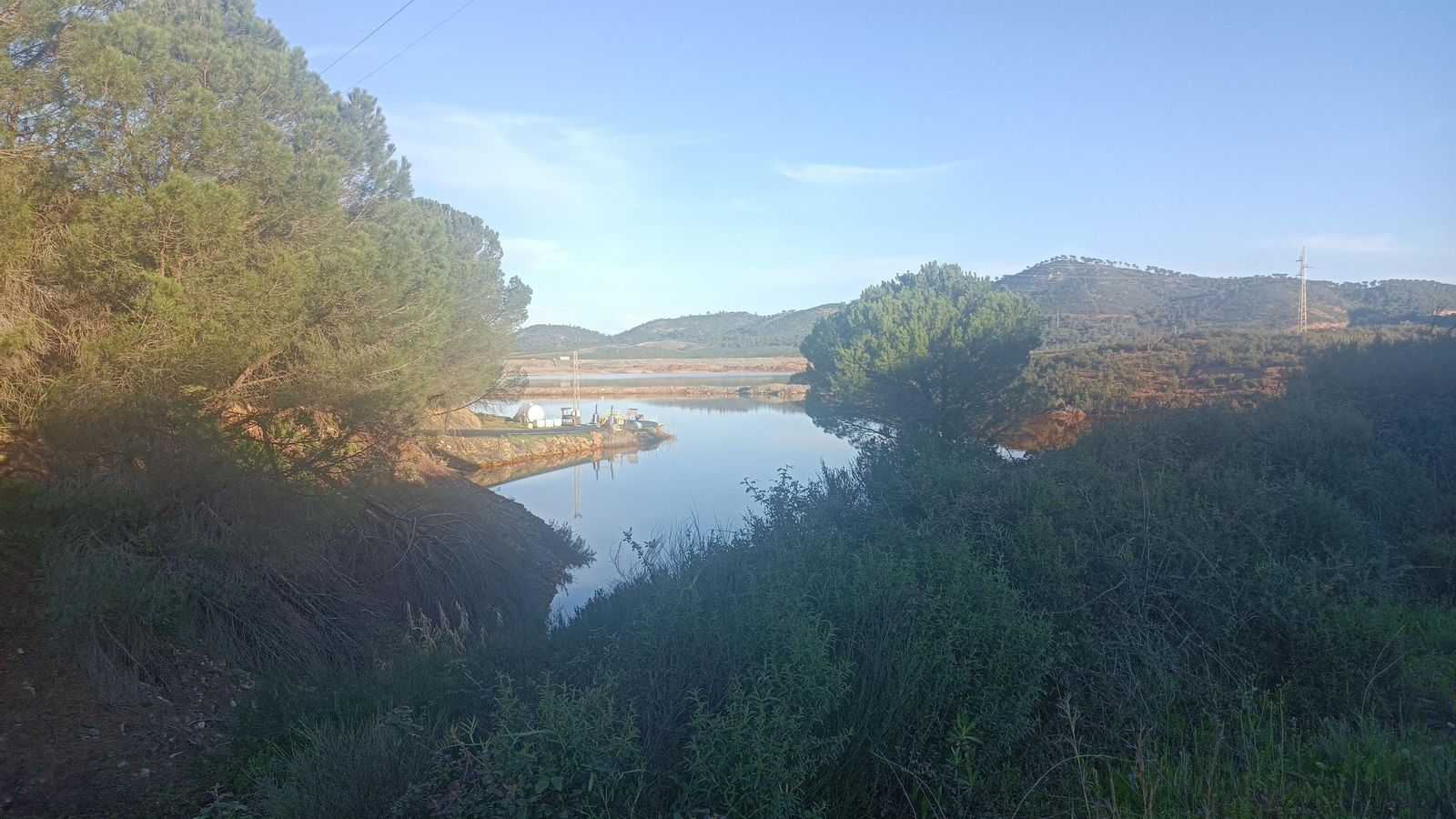 Vistas de los embalses desde un pinar en el lateral de la carretera.