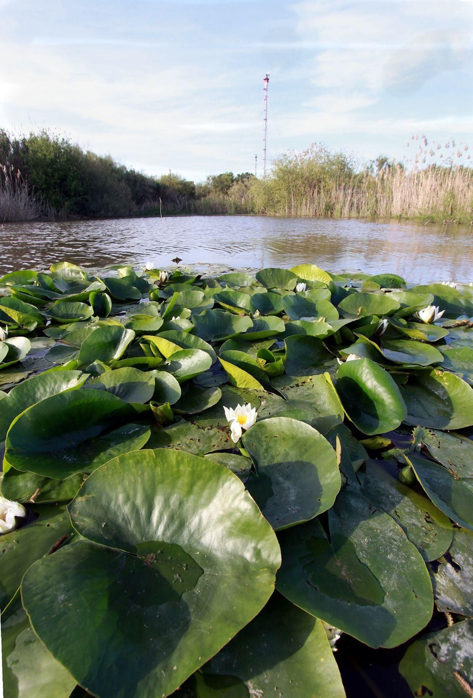 Otra perspectiva de la Laguna.