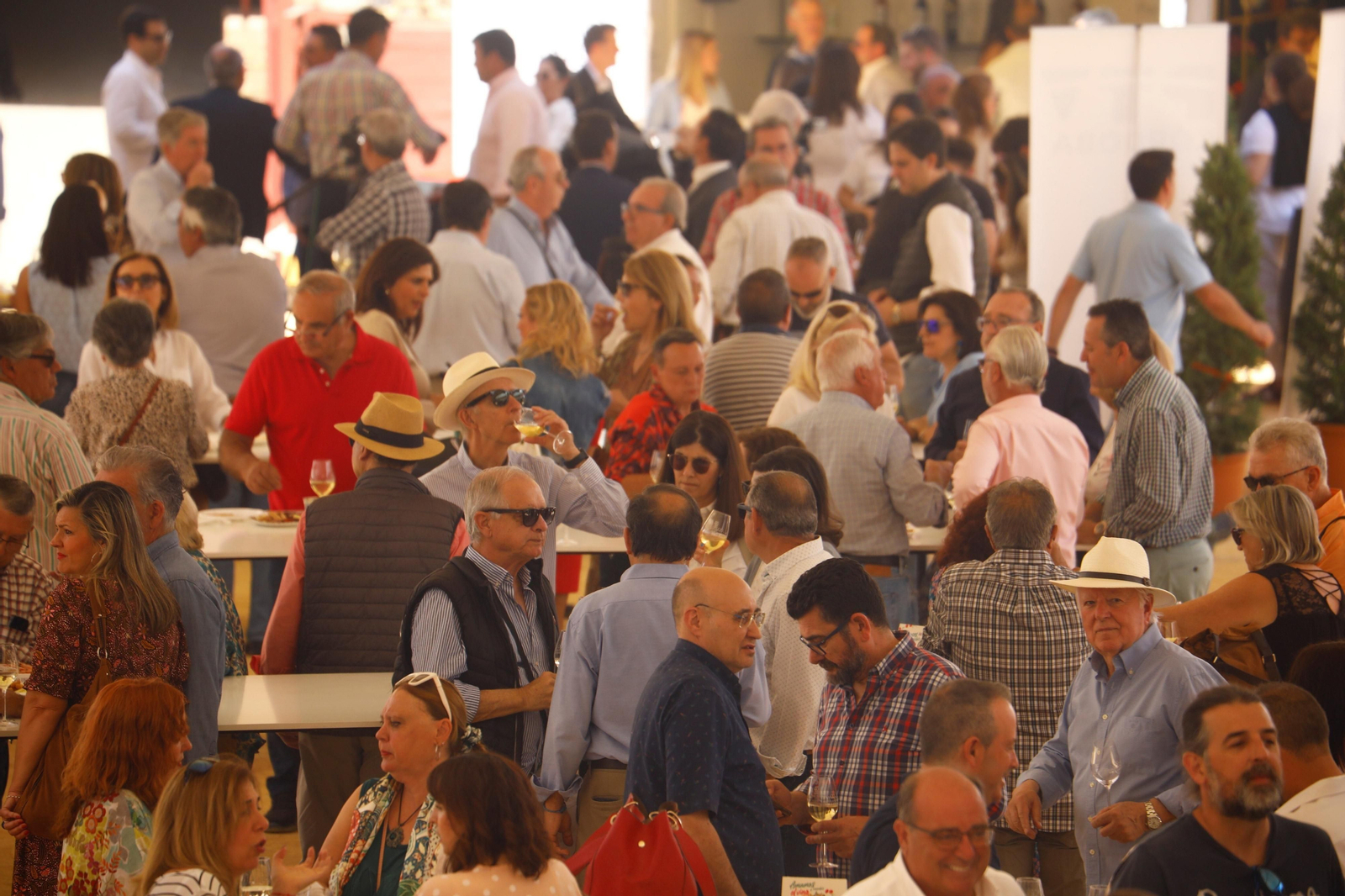 La primera jornada de la Cata del Vino de Córdoba, en imágenes
