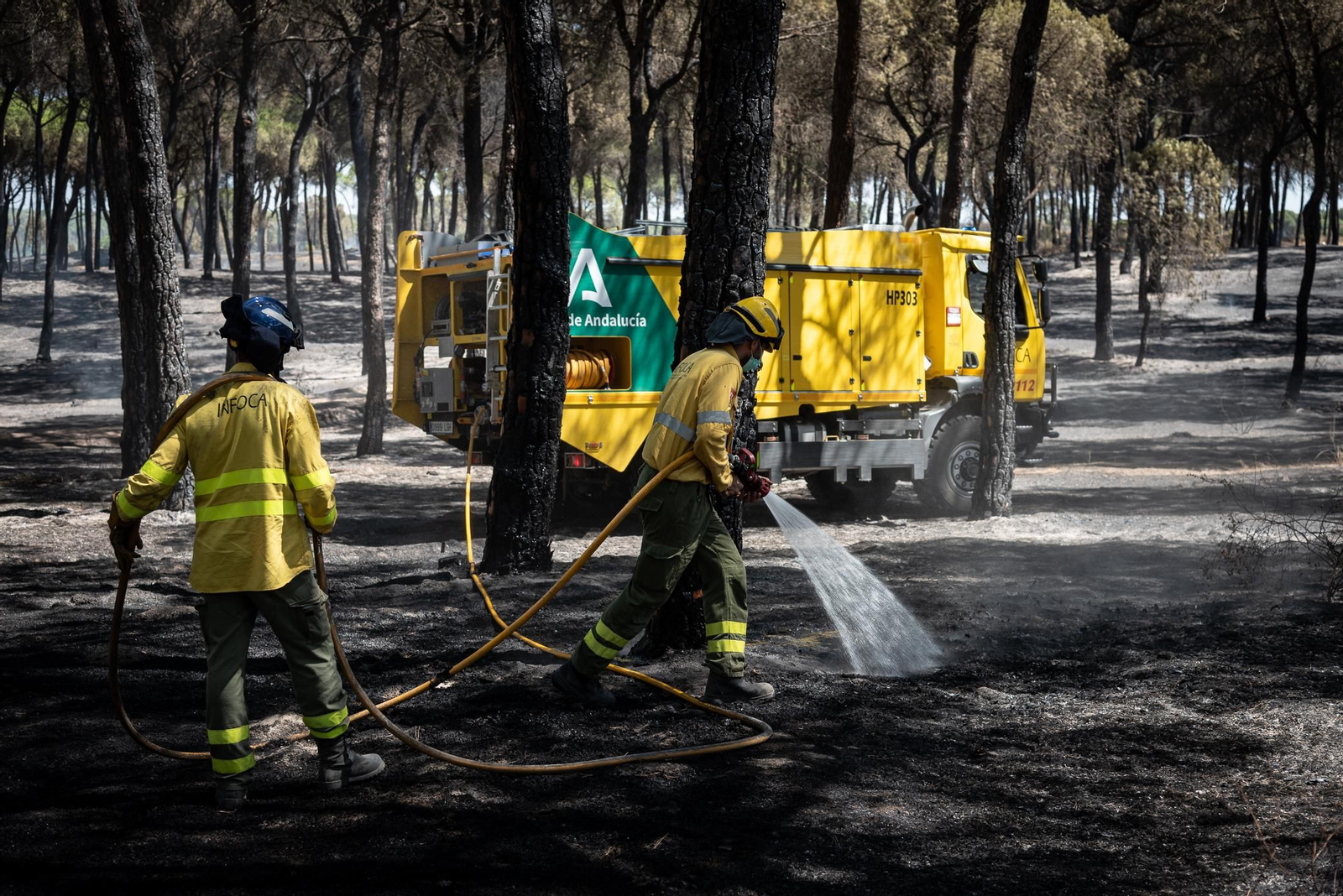 Imágenes de las labores de extinción del incendio de Bonares