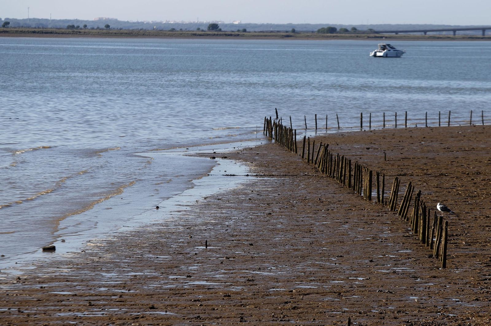 Imágenes del domingo 19 de noviembre en Huelva