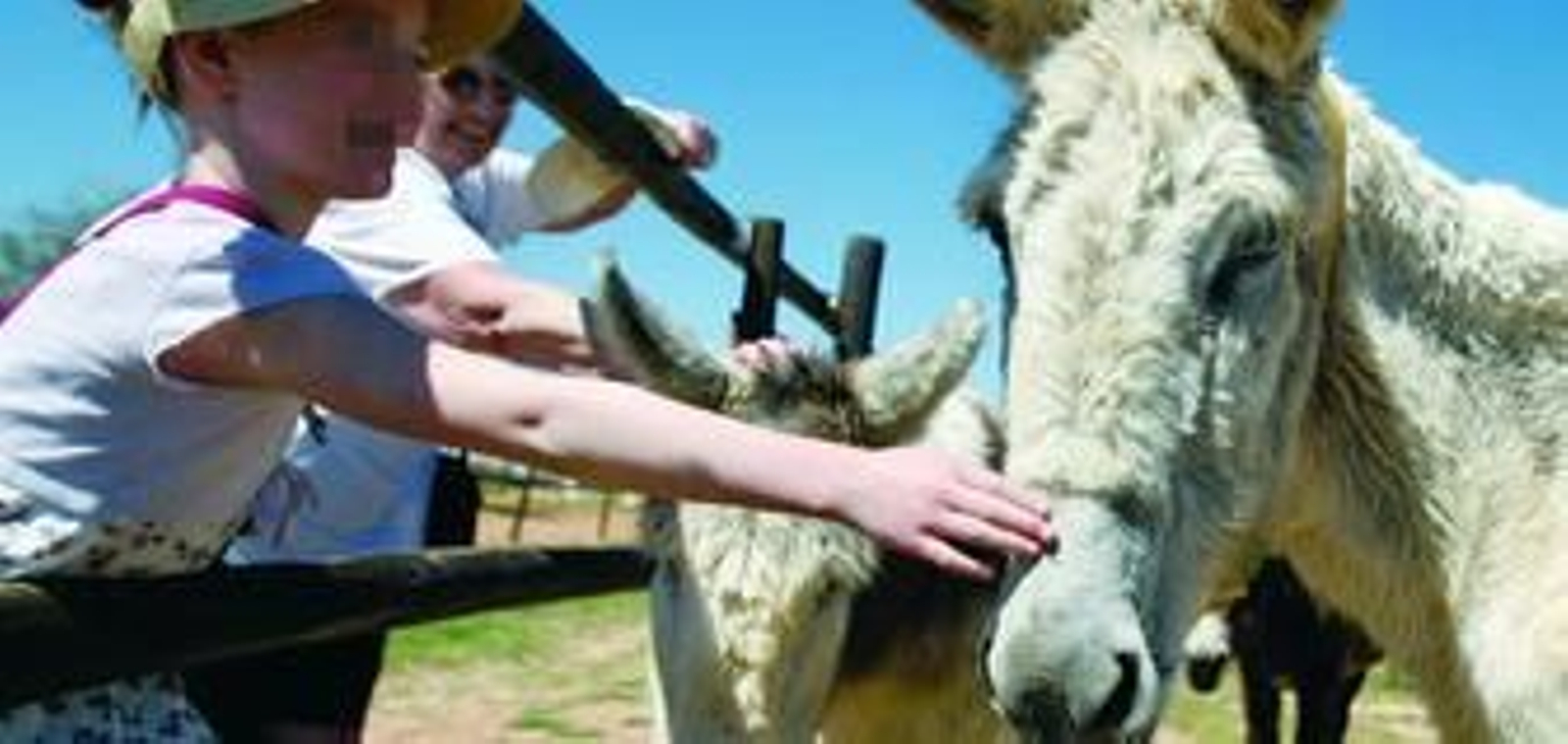 Protección y cuidado del burro