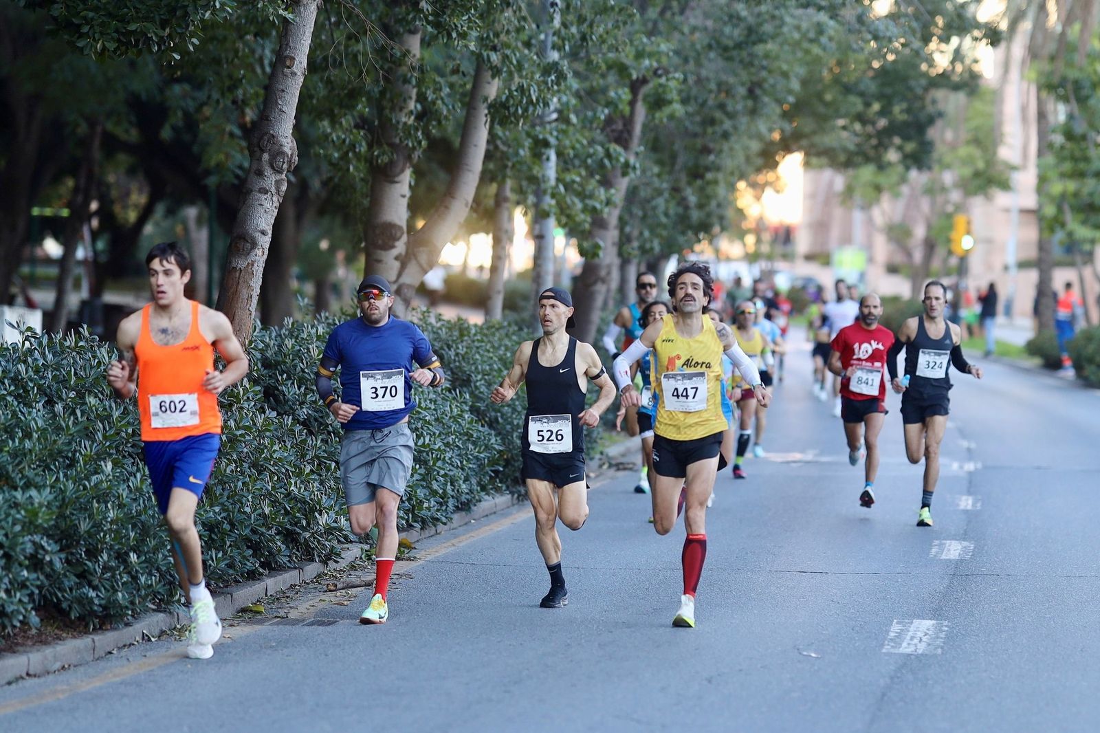 Las fotos de la XIV San Silvestre Palma-Palmilla