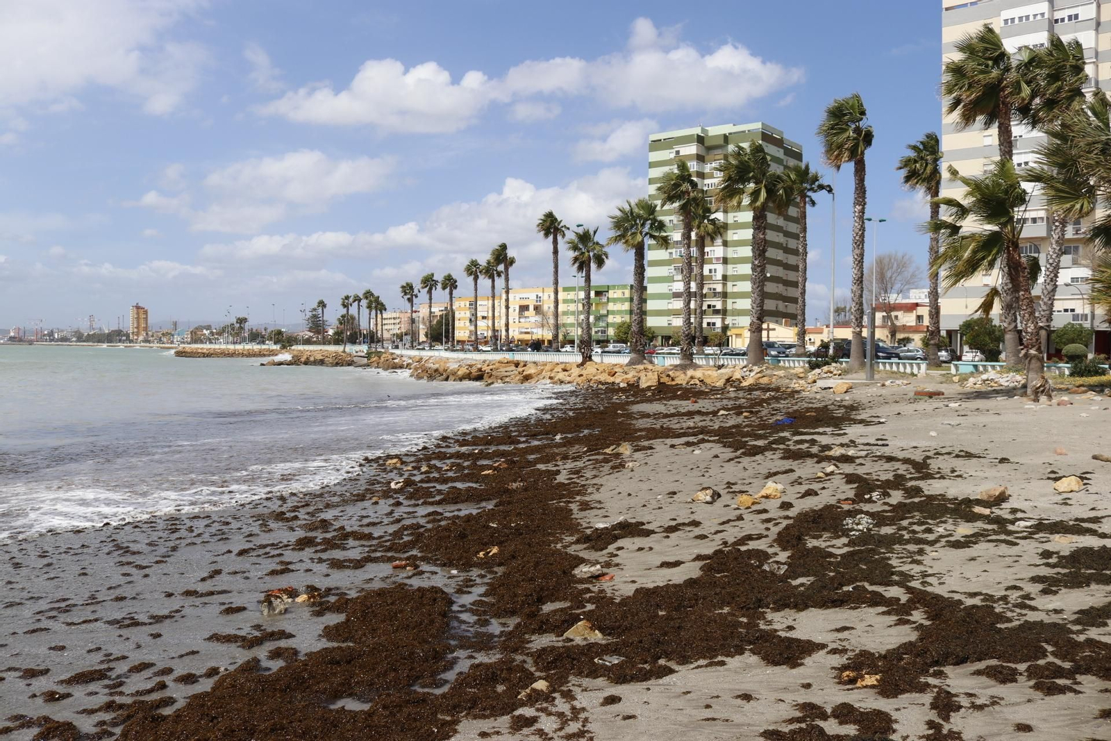 Los efectos del temporal de Levante en La Línea