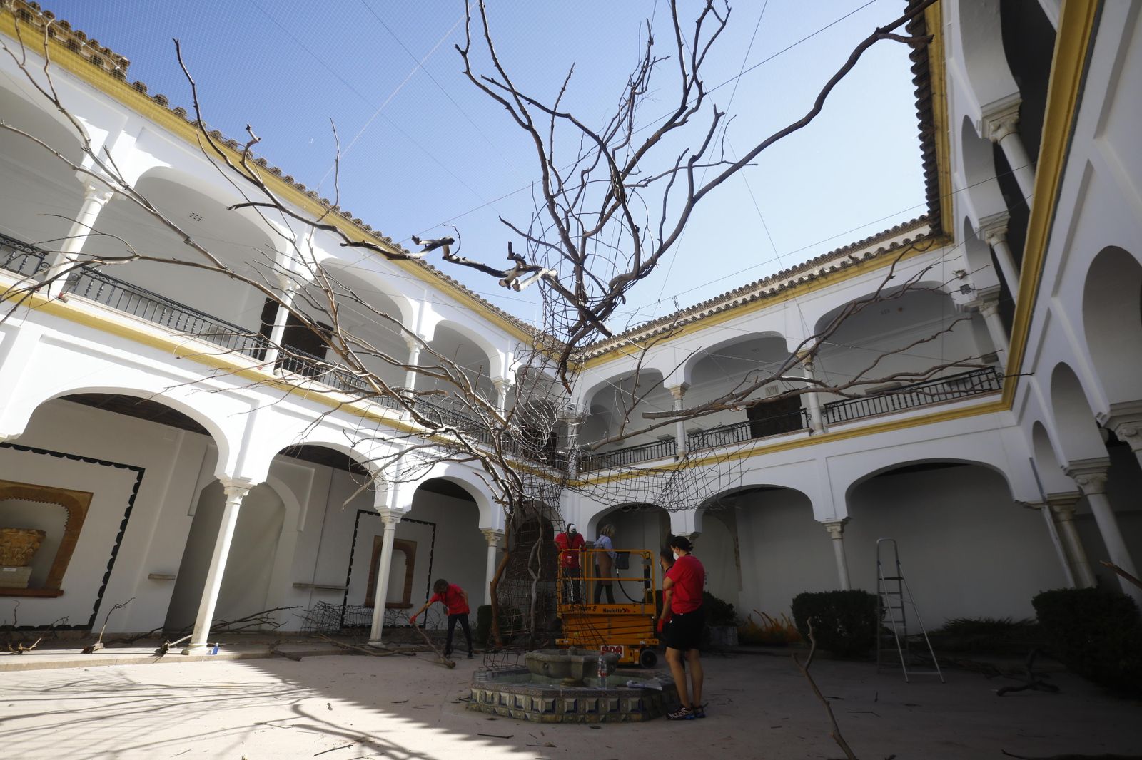 El montaje del Festival Flora, en imágenes