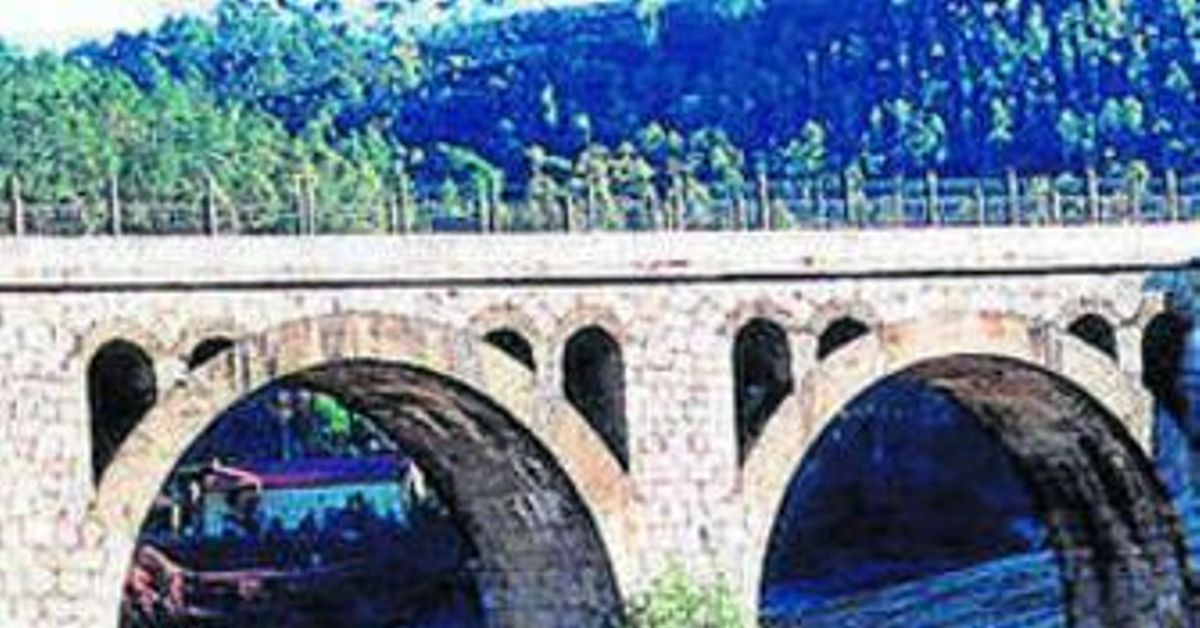 Elefantes en una sierra sevillana