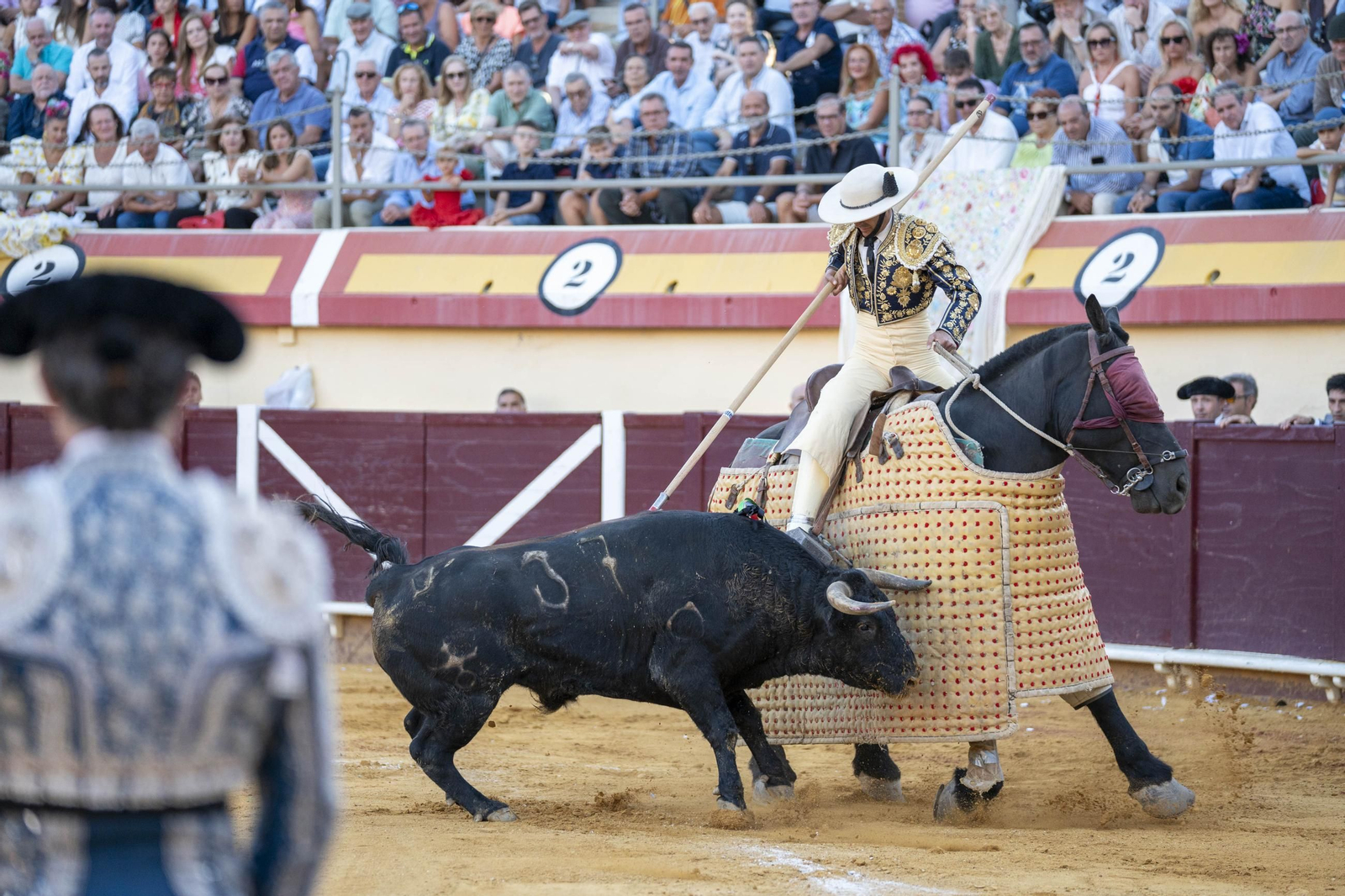 Las imágenes de los toros en Vera