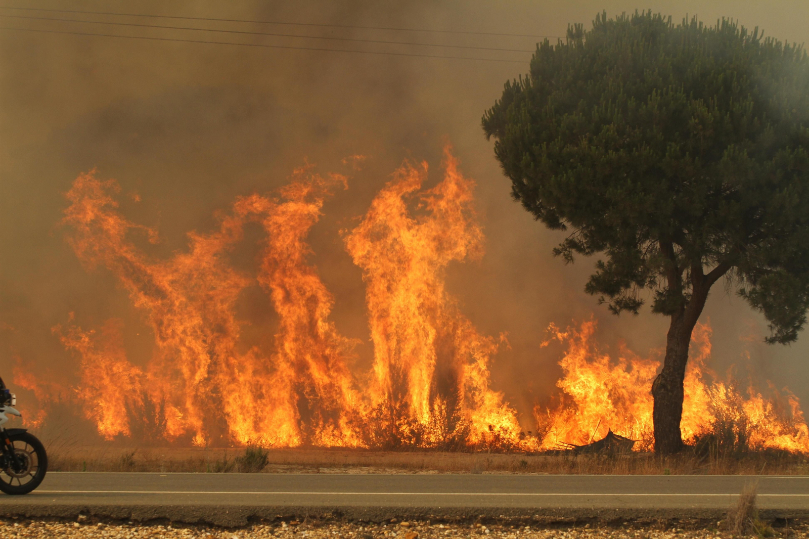 Las imágenes del incendio en Moguer y Mazagón