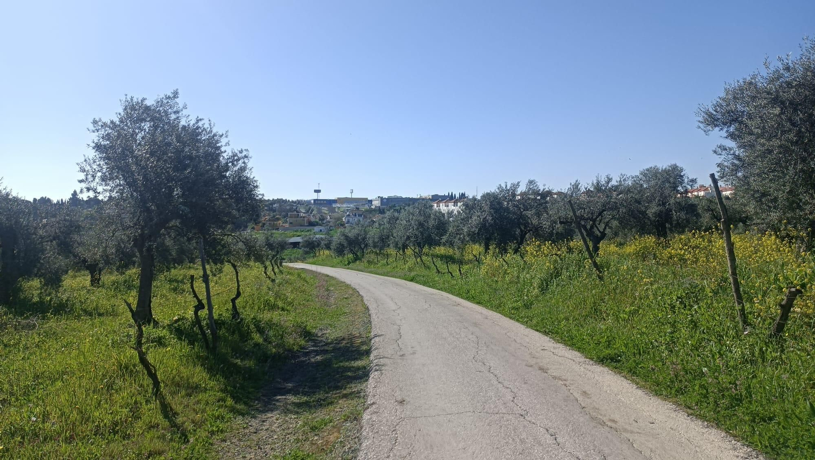 Vamos acercándonos a Castilla de la Cuesta.
