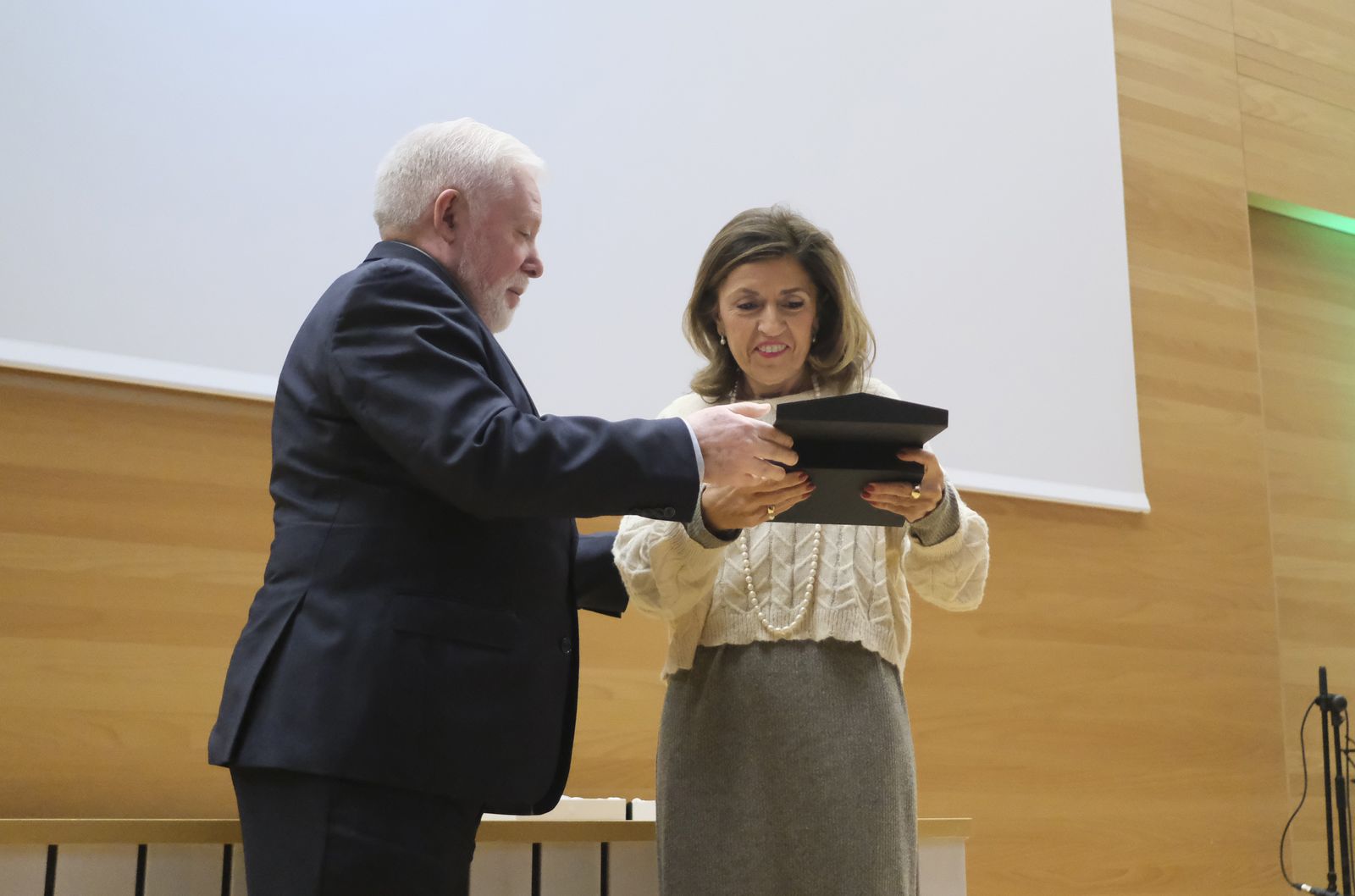 La entrega de medallas extraordinarias de las Peñas de Córdoba, en fotografías