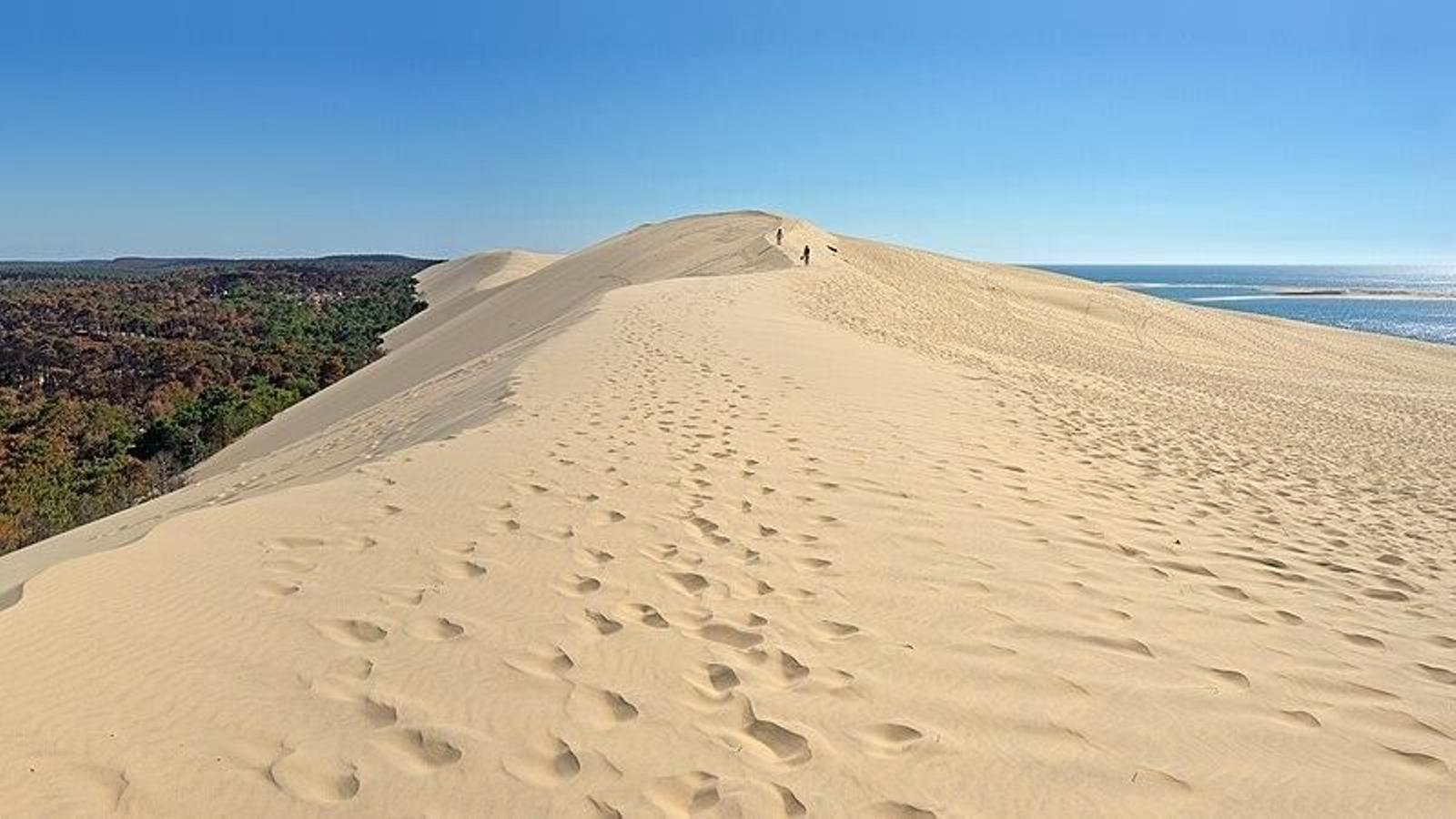 Dune du Pila Dune du Pila