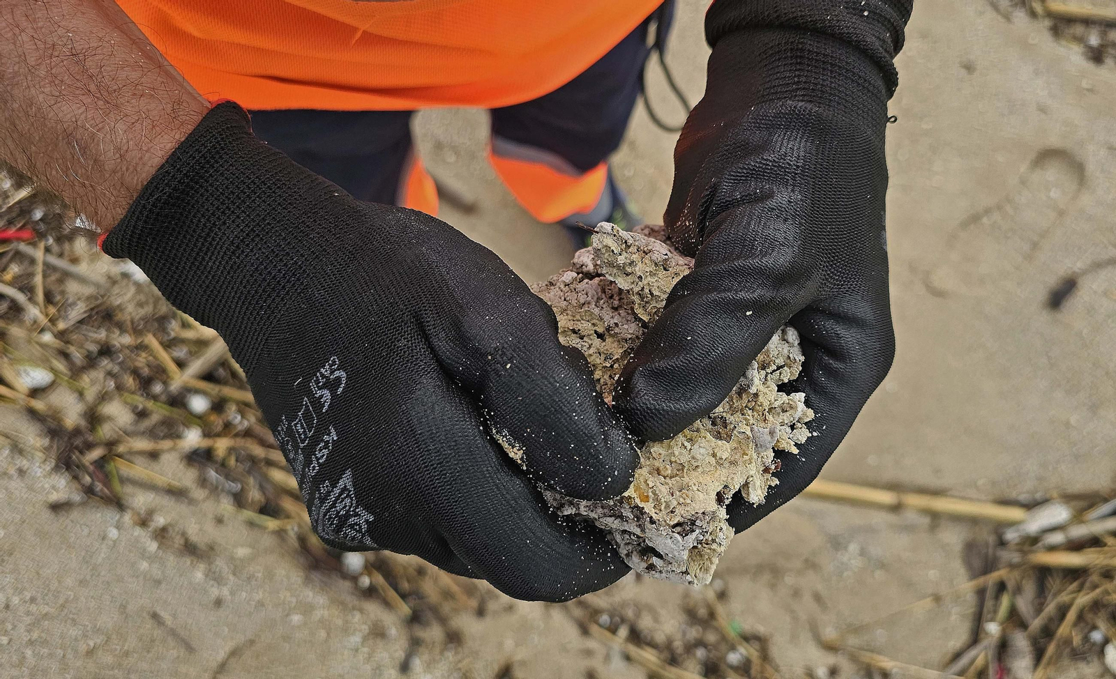 Fotos de la limpieza de las bolas blancas en la playa de Getares en Algeciras