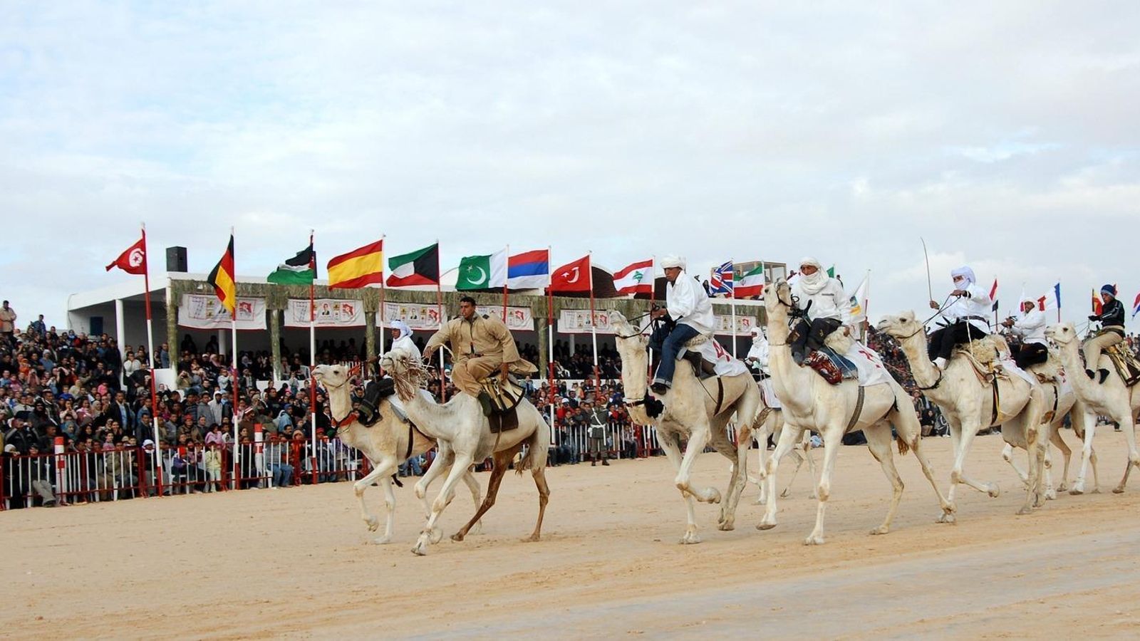 Carrera de camellos en Túnez