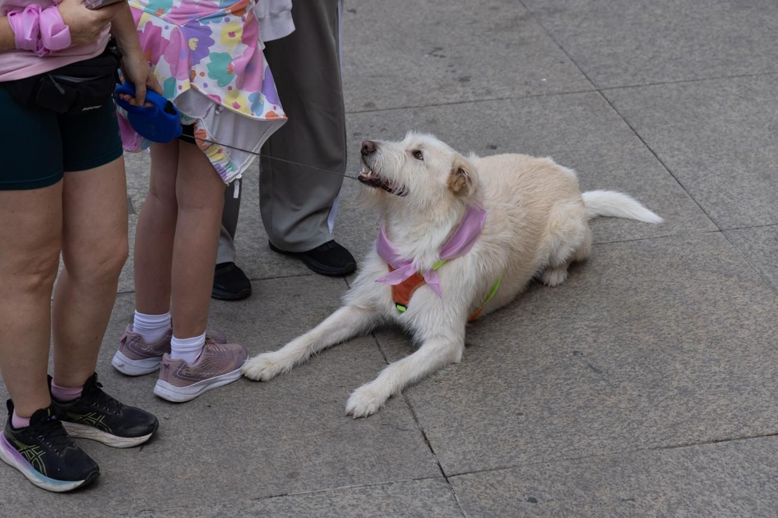 Jaén se viste de rosa con una marcha reivindicativa contra el cáncer de mama