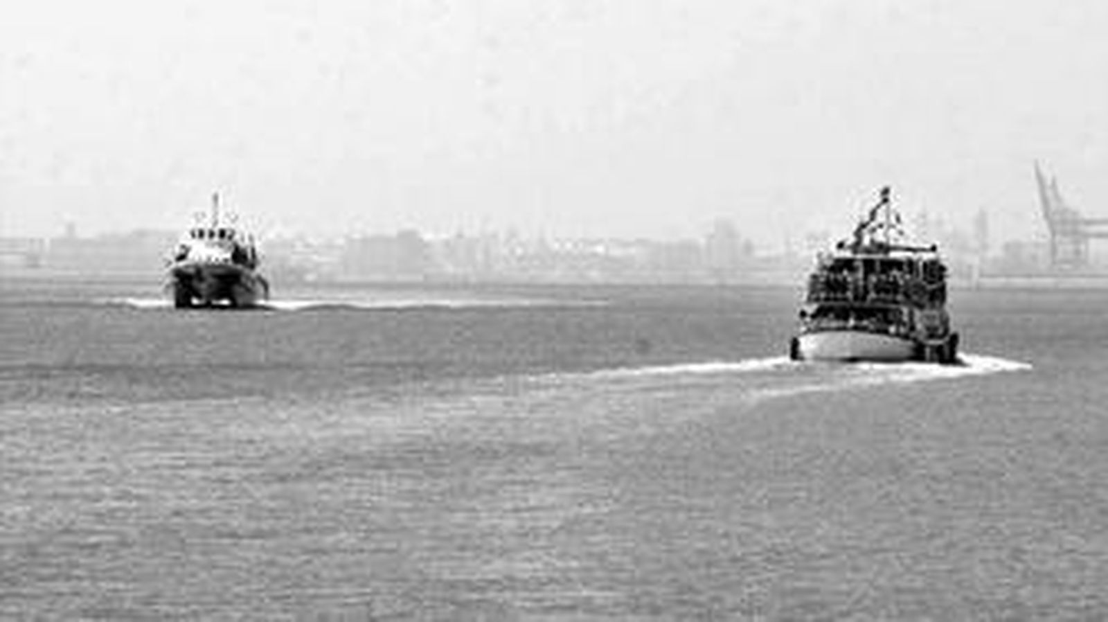 Uno de los catamaranes.