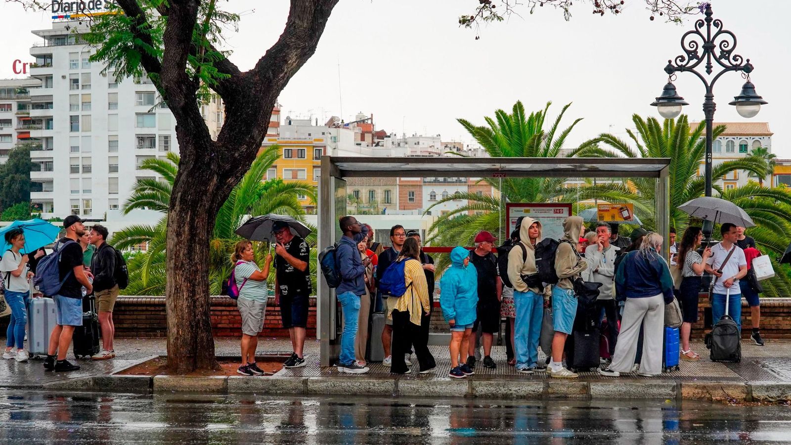 Un día de lluvia en Sevilla