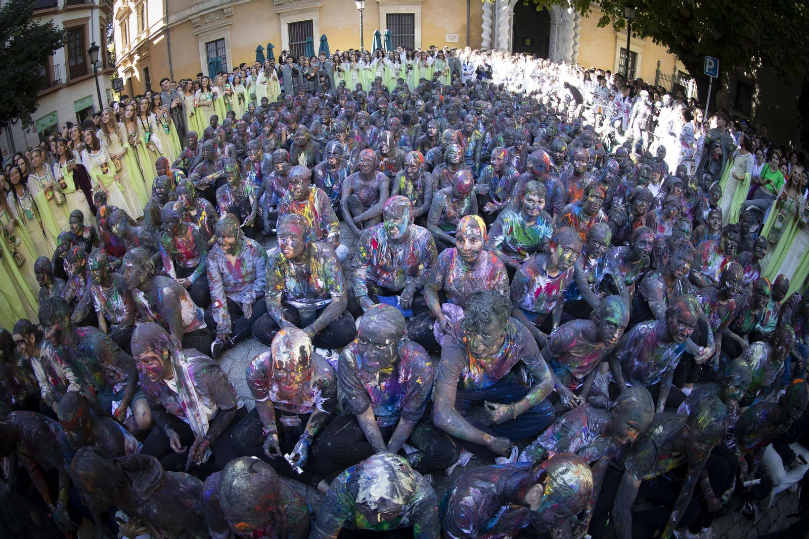 Todas las imágenes de la celebración de San Lucas de Medicina en Granada