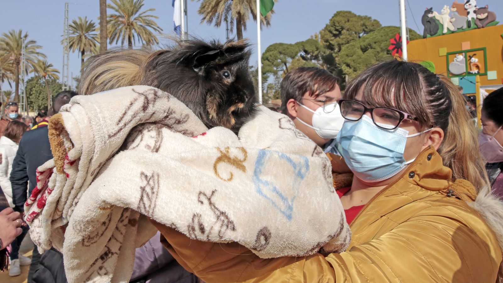 Imágenes de la 'Fiesta de San Antón 2022'