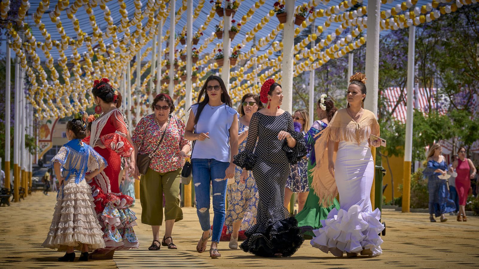 Imagen de archivo flamencas paseando por el Real