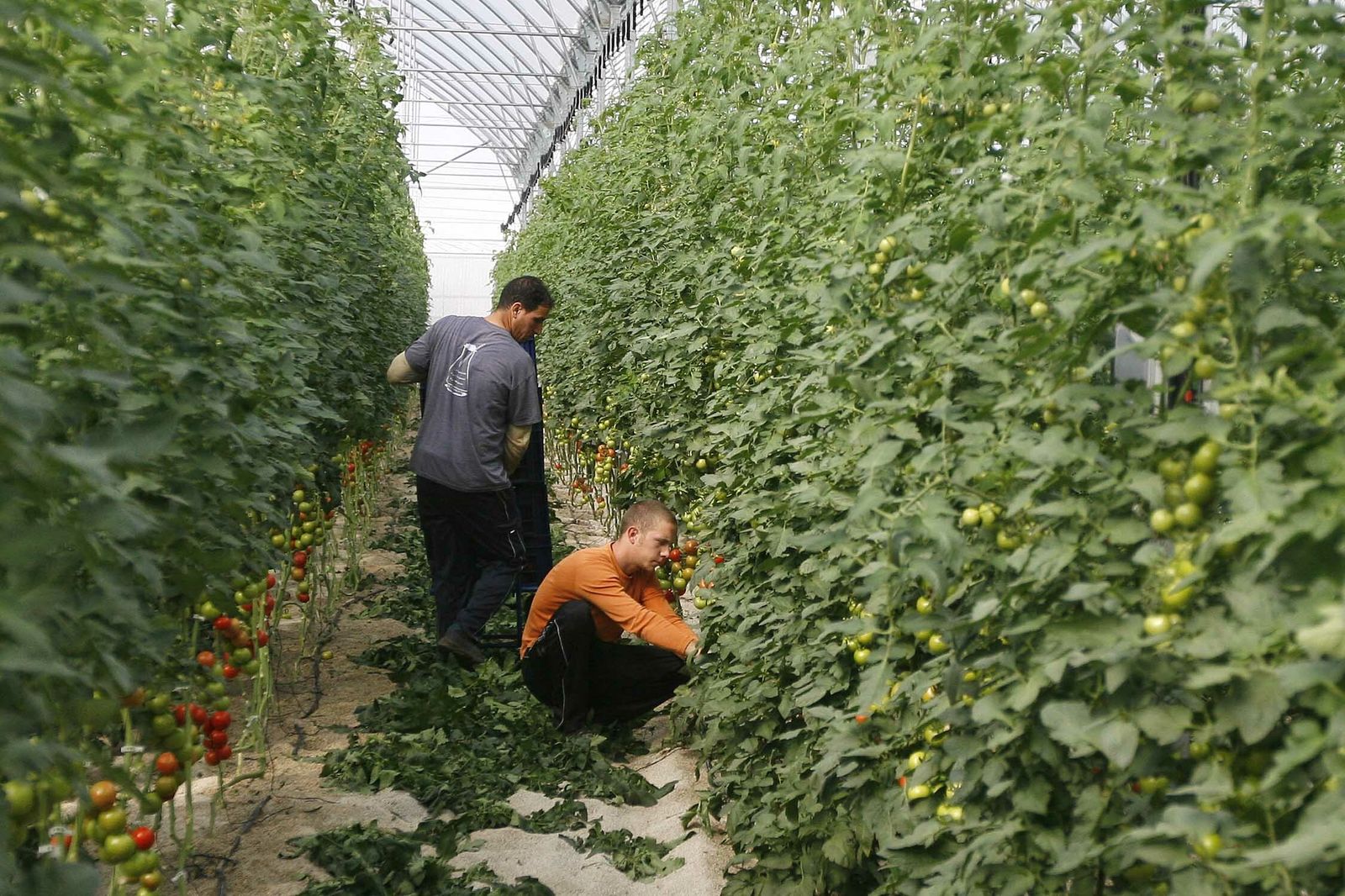 La localidad cerró 2019 con una tasa de paro registrado del 12.16%