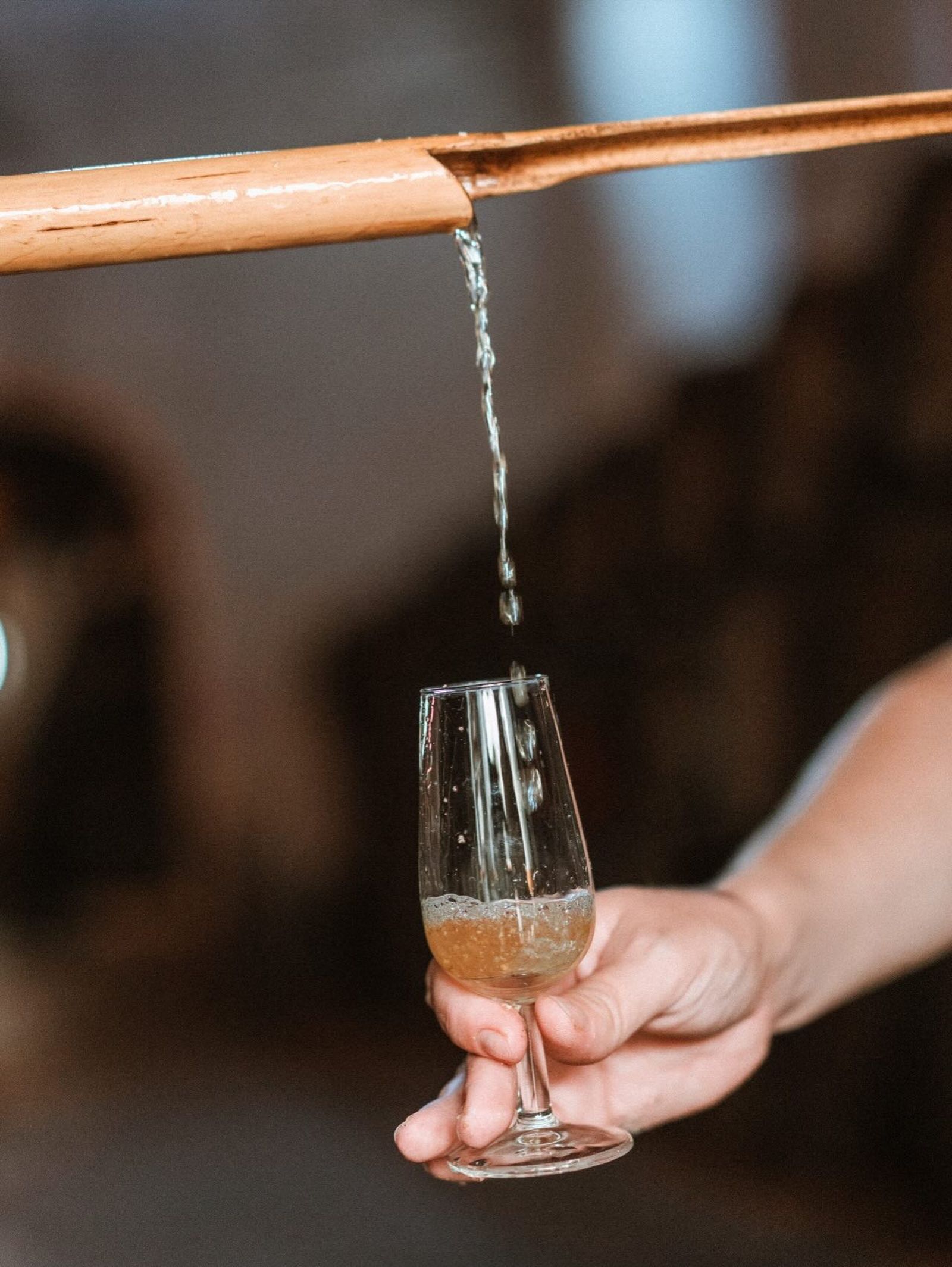 Sanlúcar de Barrameda 6.