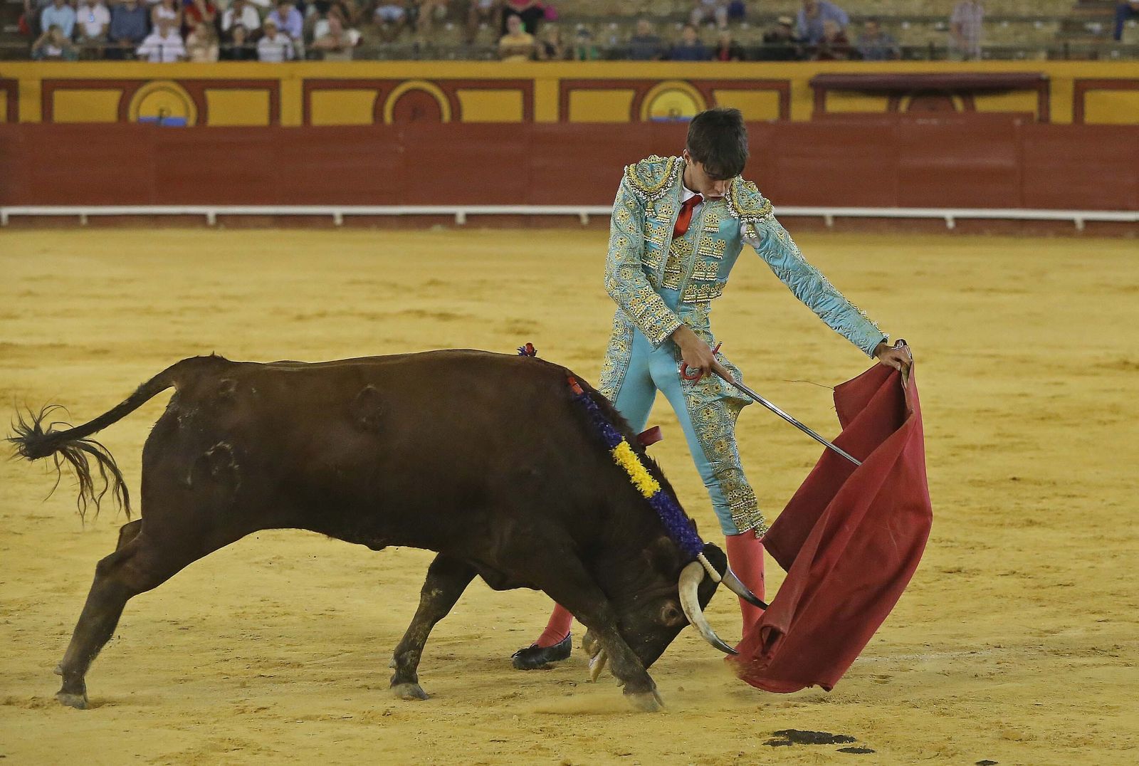 La novillada de Miguelín que abre la feria de Algeciras, en imágenes