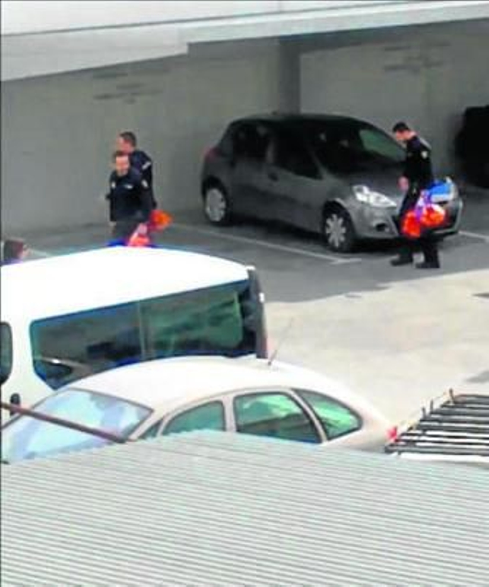 El reparto de naranjas decomisadas se cobra por ahora cuatro expedientados.