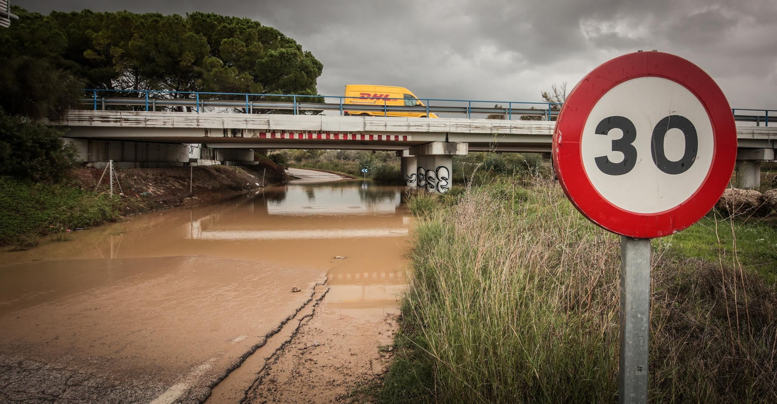 Imágenes de los destrozos tras el paso de la Dana por la campiña de Jerez