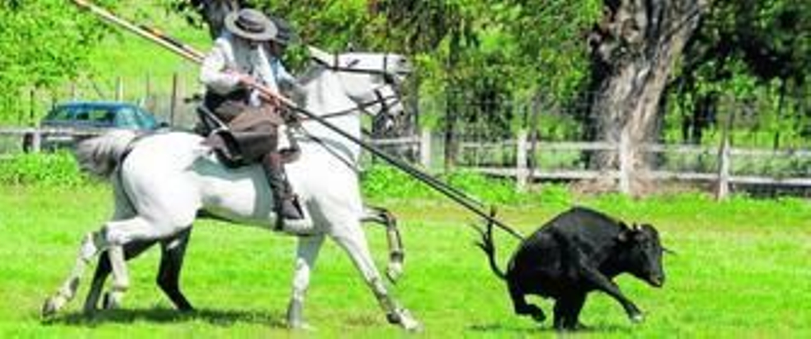 Un momento del certamen celebrado este fin de semana en el Cortijo de Vicos.