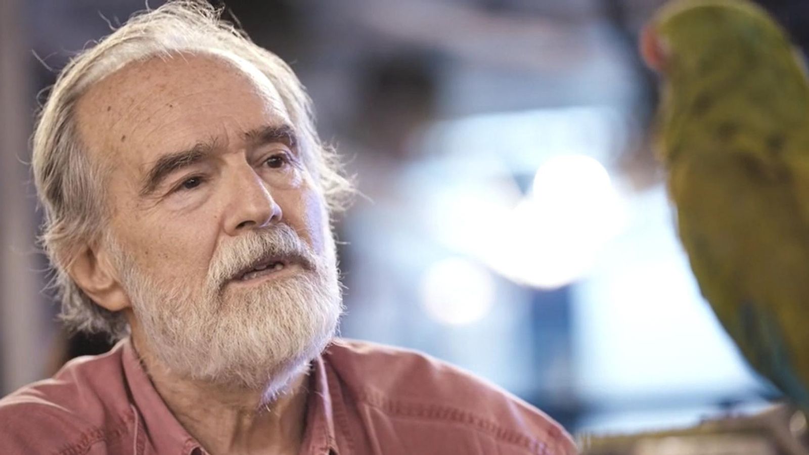 García Pelayo con el papagayo Curro en otro momento del filme.