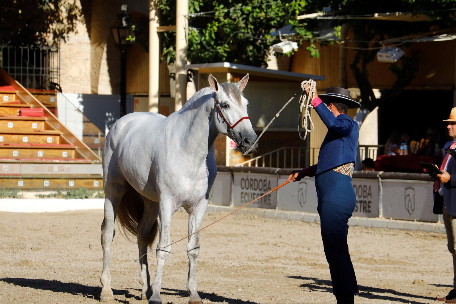 Cabalcor Cabalcor