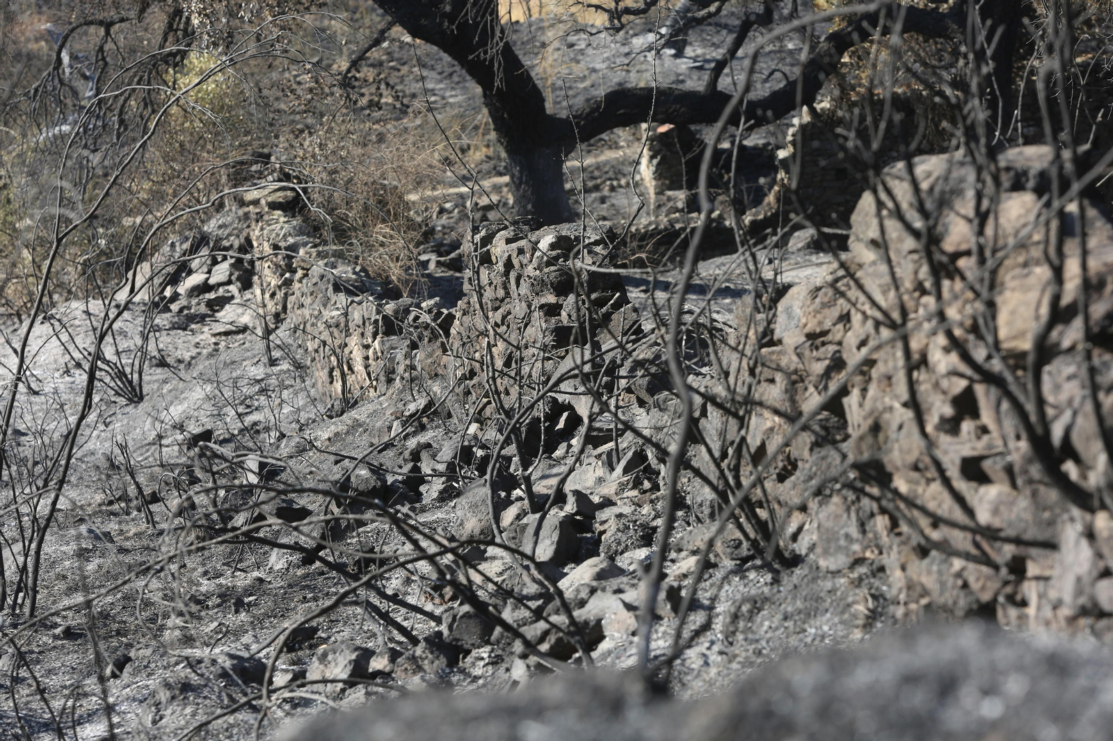 Imágenes del área afectada por el fuego del segundo día en el incendio de Almonaster