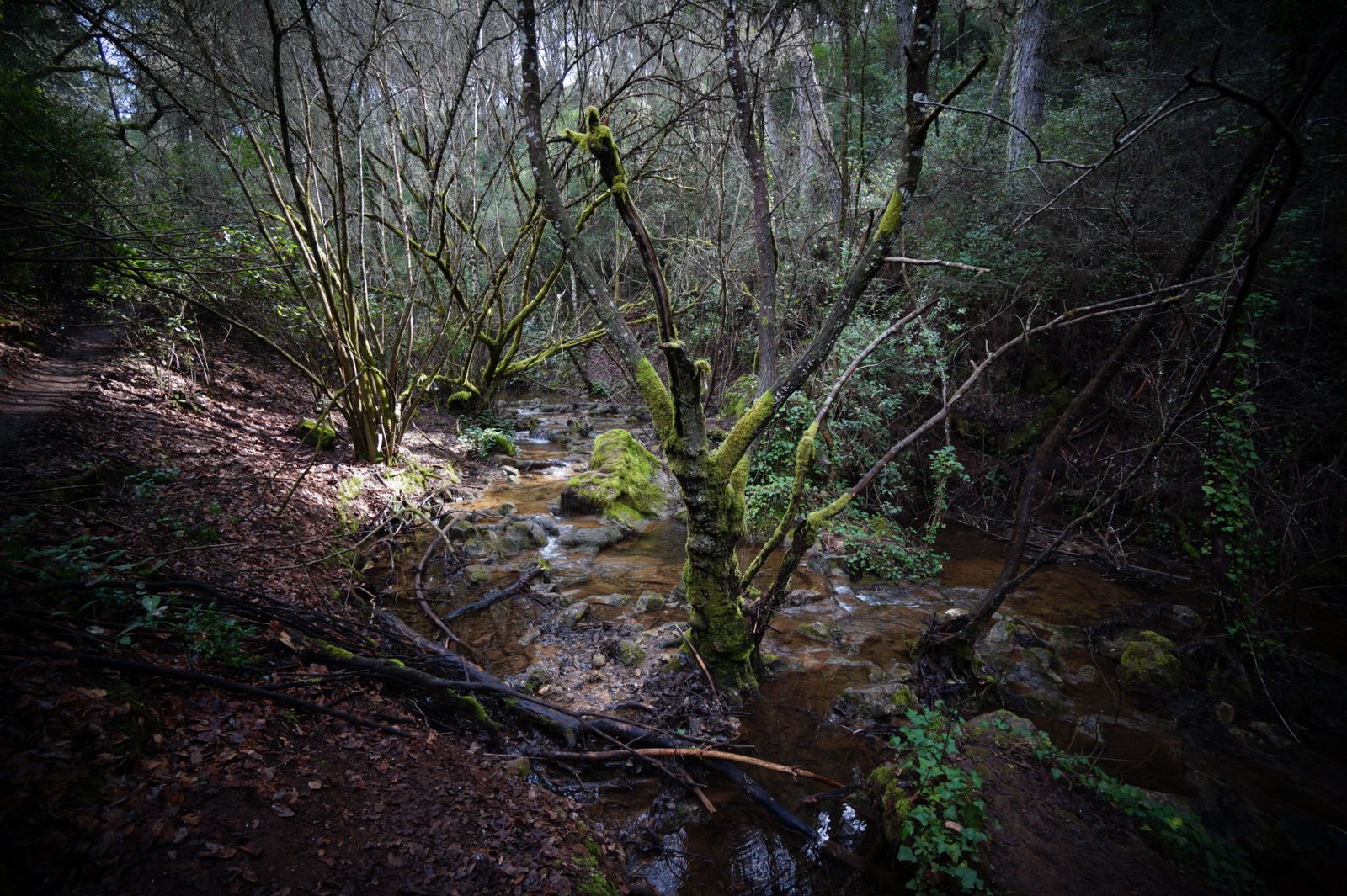 Una ruta por los Baños de Popea en Córdoba, en fotografías
