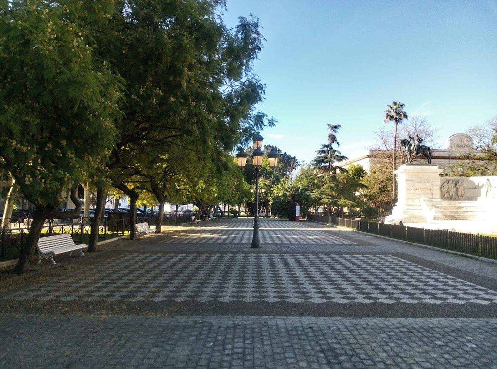 Algunos de los árboles que Urbanismo pretende retirar de la Plaza de España.