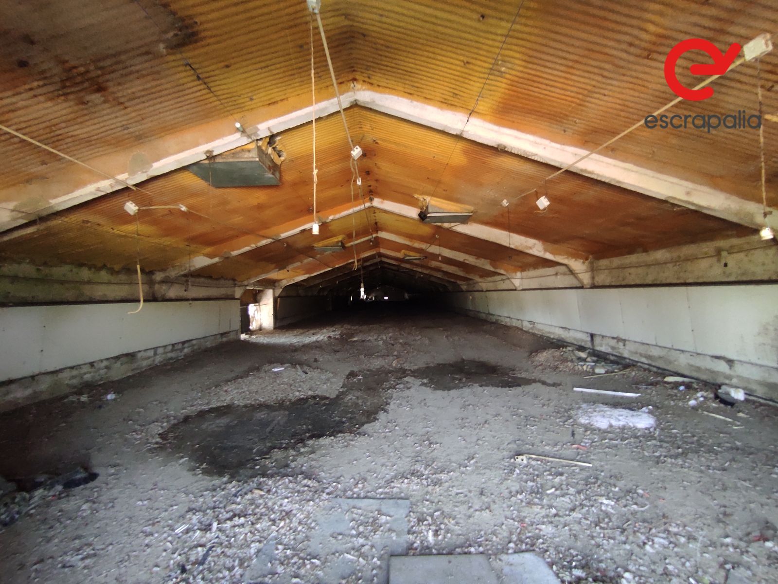 La granja de 43.000 metros cuadrados a subasta por 1 euro