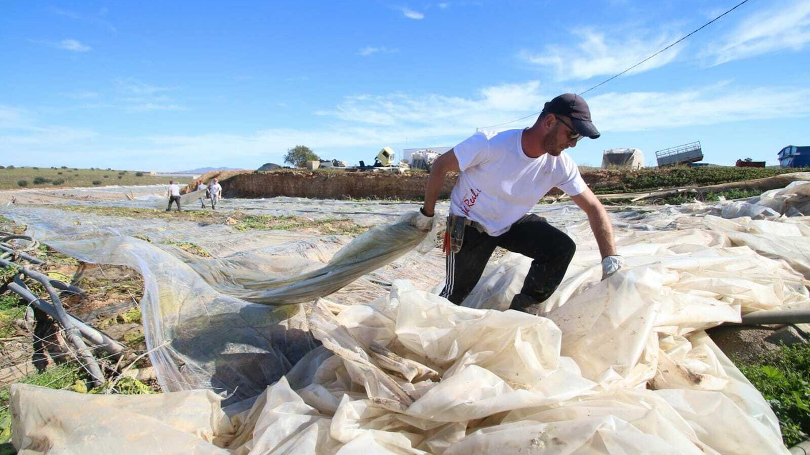 Trabajadores reparan los daños en los invernaderos.