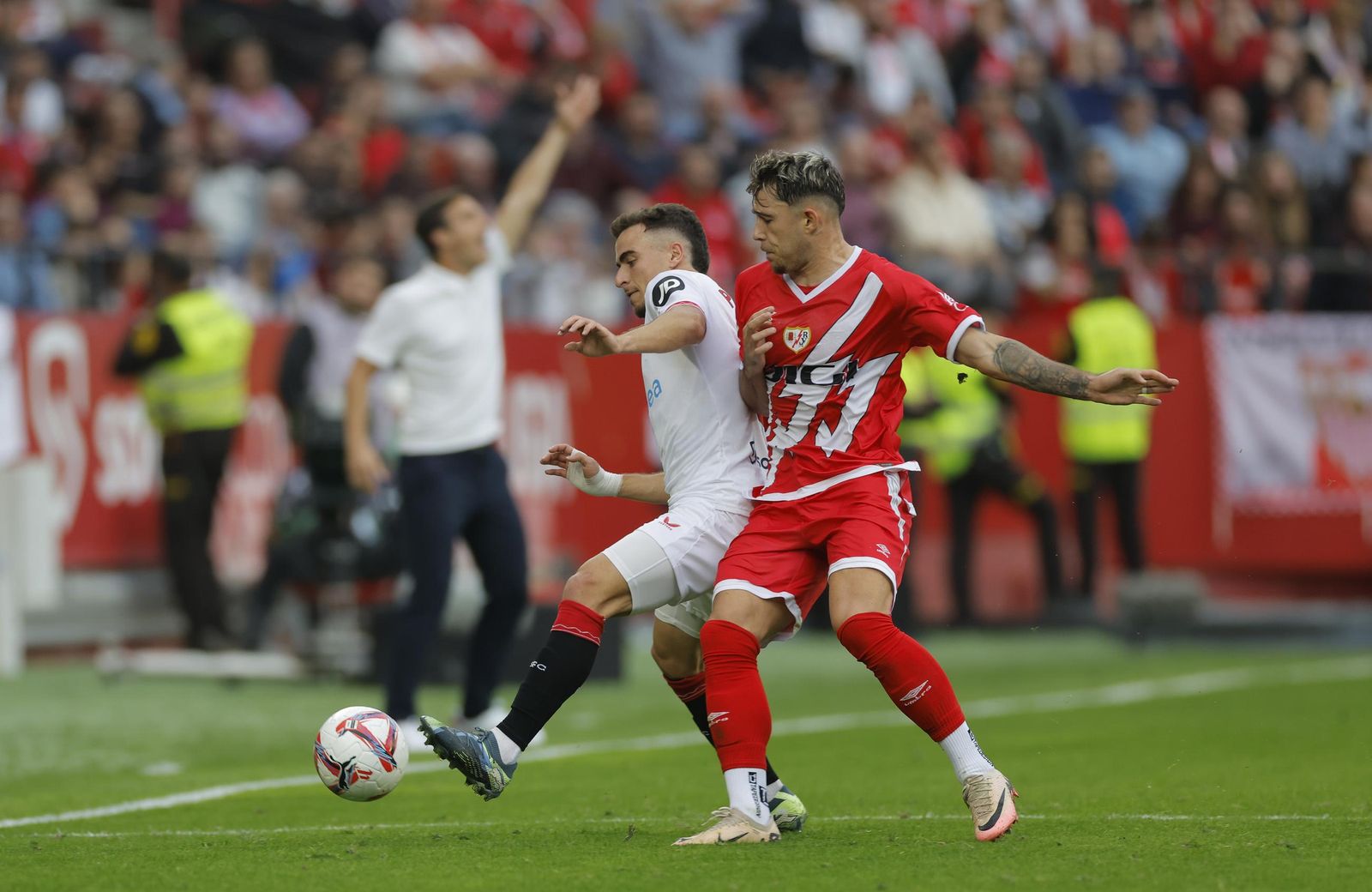 Las fotos del Sevilla fc - Rayo