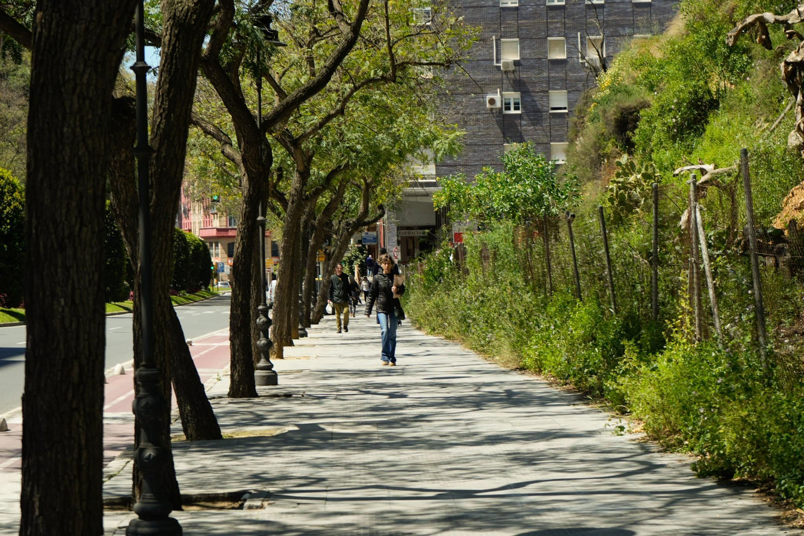Las mejores imágenes del lunes 21 de abril en Huelva