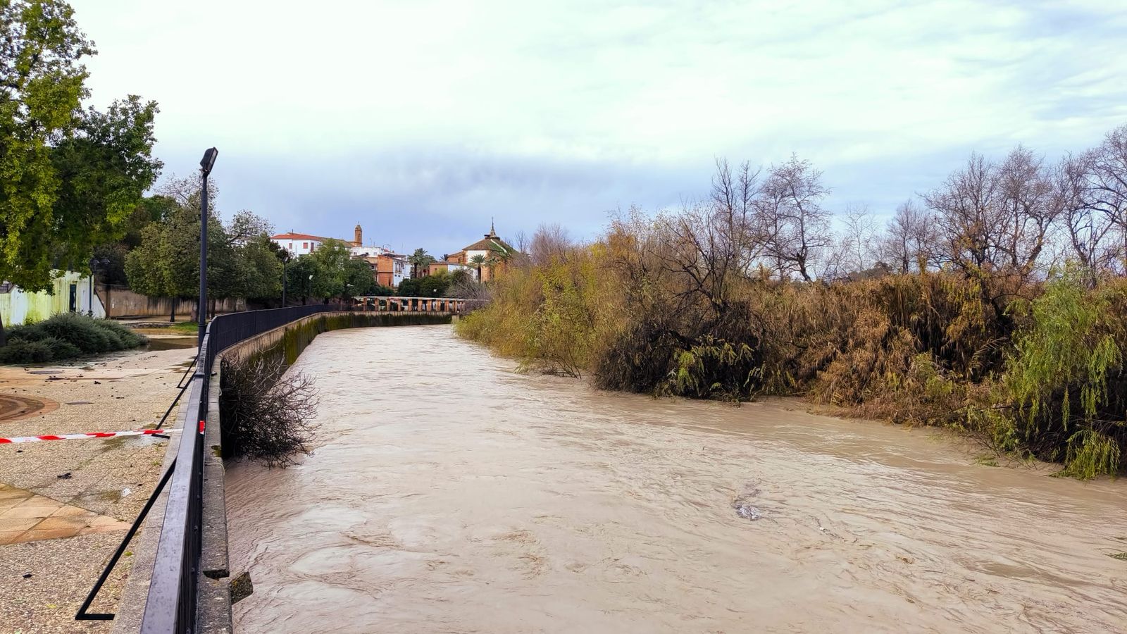 Río Guadalquivir a su paso por Villanueva de la Reina.