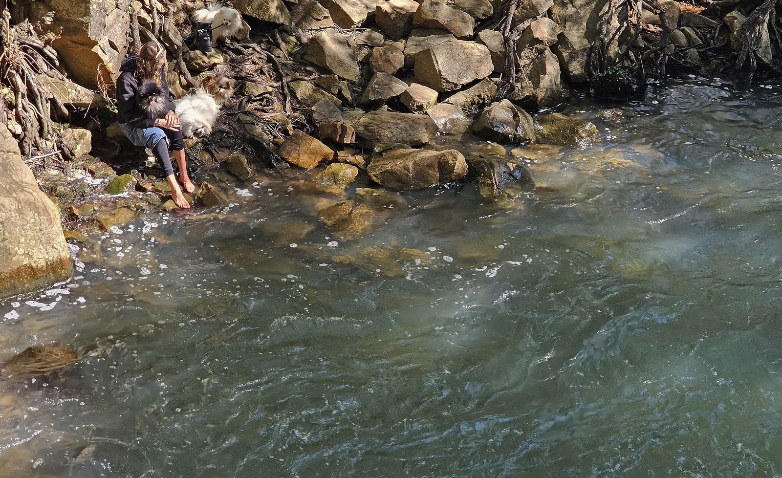 Fotos del río de la Miel tras las borrascas de marzo