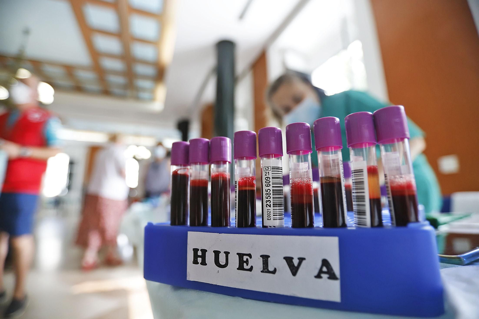 Imágenes de la Macrocolecta de sangre en la Casa Colón