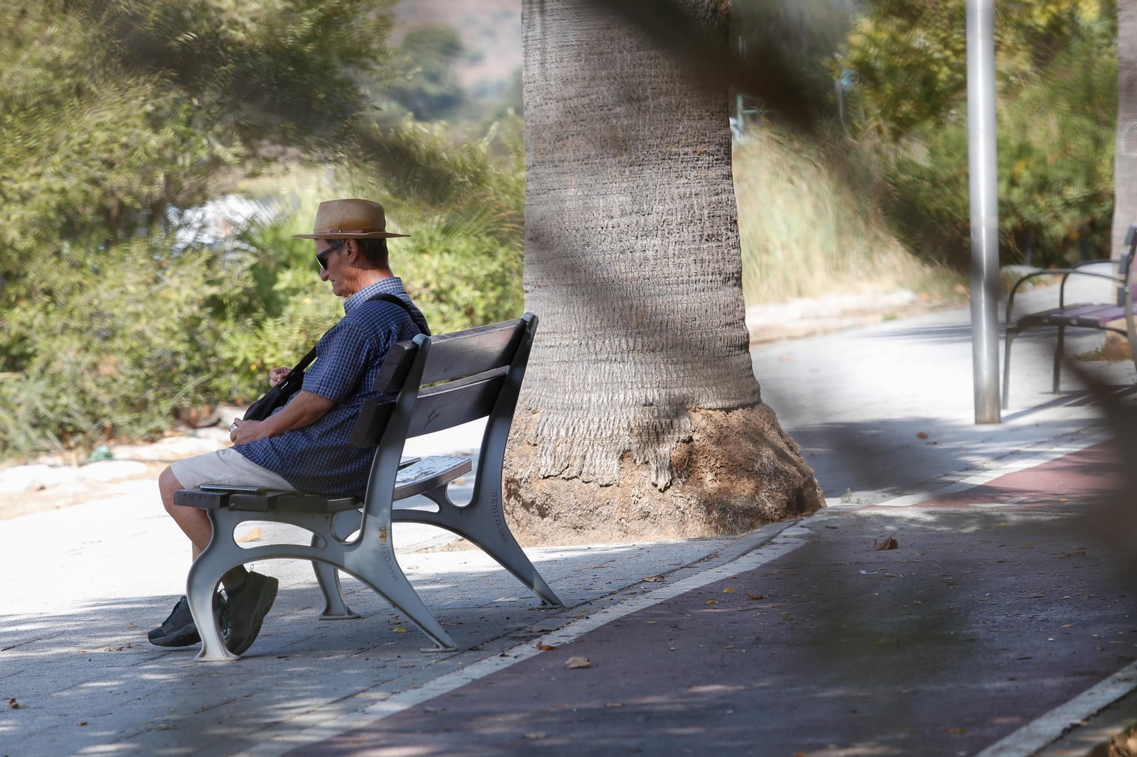Fotos de una mañana de verano en Palmones