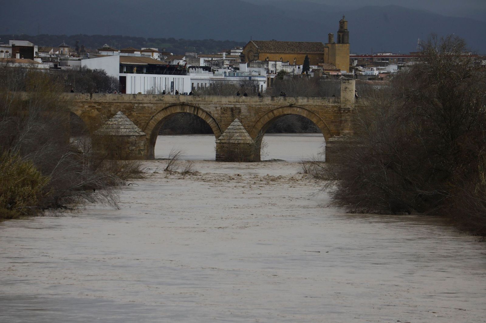 El río Guadalquivir a su paso por Córdoba tras la borrasca Kristin